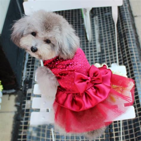 Wedding Dresses For Dogs – Oh my Glad