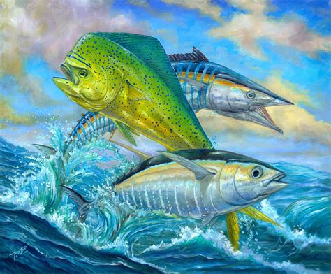 Mahi Mahi Painting - Mahi Mahi Tuna Wahoo - 900x746 - Download HD ...