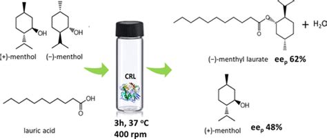 Deep Eutectic Solvents For Enzymatic Esterification Of Racemic Menthol