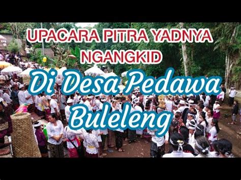 UPACARA PITRA YADNYA NGANGKID DI DESA ADAT PEDAWA Ngabenmassal