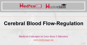 Cerebral blood flow-Regulation - New