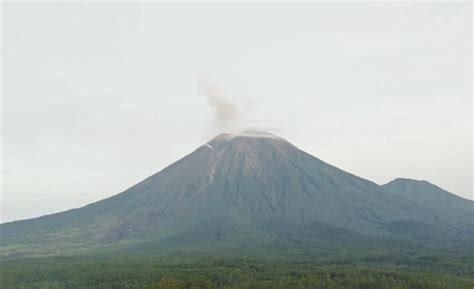 Gunung Semeru Mengalami 14 Kali Gempa Letusan Indoposco