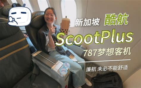 全球最佳廉价航空 新加坡酷航 ScootPlus 787梦想客机 超级经济舱体验 金毛评测犬 金毛评测犬 哔哩哔哩视频