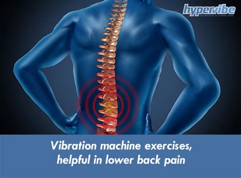 Vibration Machine Exercises for Lower Back Pain | HV UK