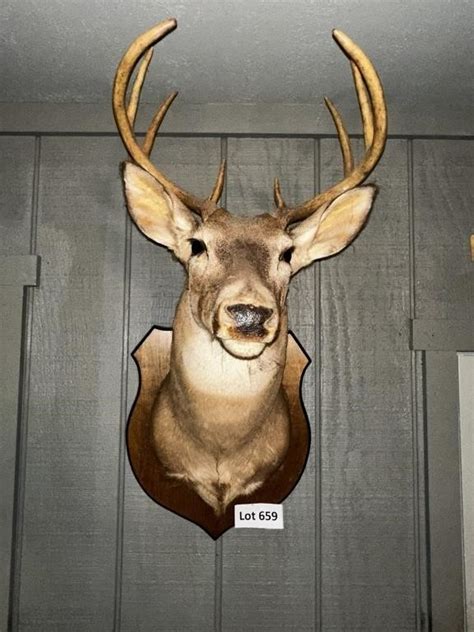 8 Point Buck | Live and Online Auctions on HiBid.com