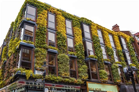 Vertical Gardens A Green Revolution In Urban Architecture Design