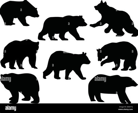 Set of Polar Bear Silhouette Stock Vector Image & Art - Alamy