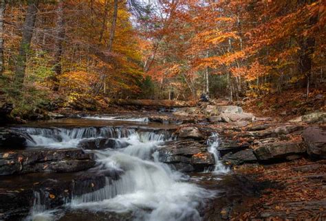 Tips For Hiking The Falls Trail In Ricketts Glen State Park Uncoveringpa