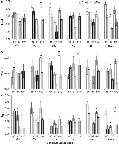 Chlorophyll A Fluorescence Parameters Effective Quantum Efficiency Of