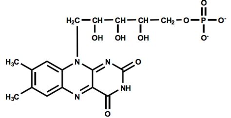 MCAT Practice Test 3 Chem Phys Flashcards Quizlet