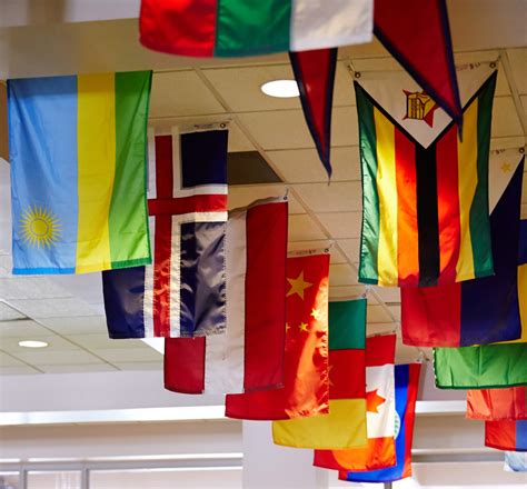 The secret avenue to learn mcmaster shortcuts for better grades 23