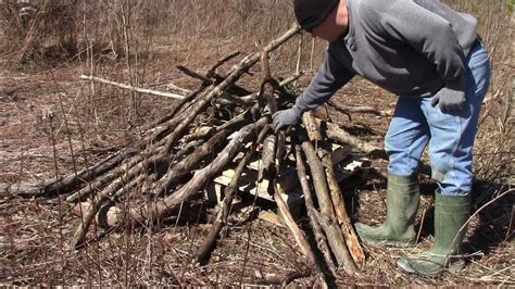 Building Brush Piles For Rabbits And Wildlife Youtube