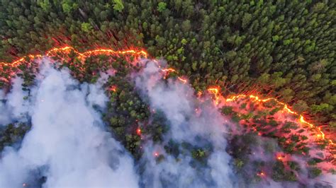 Las imágenes más impactantes de los incendios forestales causados por