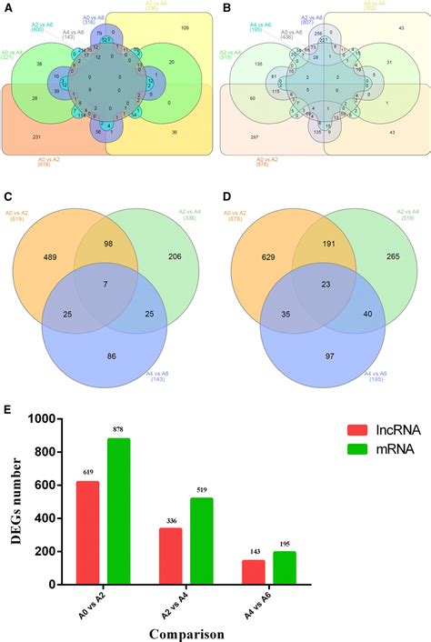 Figure 4 From Genome Wide Analysis Of LncRNA And MRNA Expression During