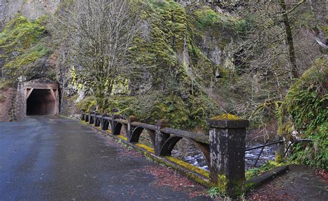 Oneonta Gorge Tunnel Photograph By Danielle Del Prado Pixels