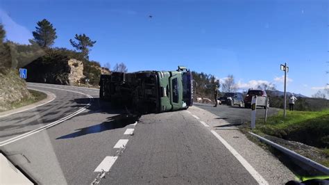 El vuelco de un camión que transportaba cerdos se salda sin heridos y