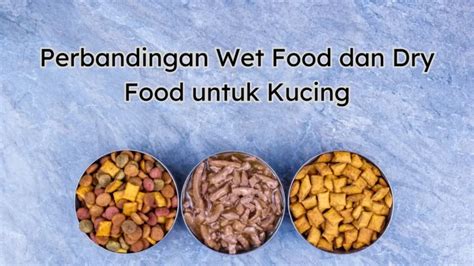 Perbandingan Wet Food Dan Dry Food Untuk Kucing Mana Yang Lebih Baik