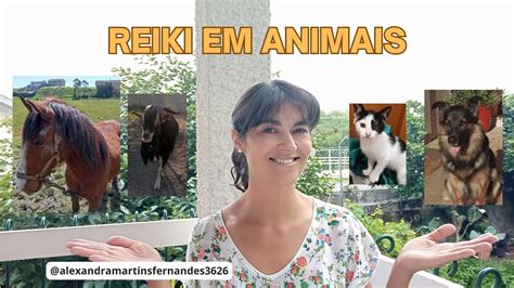 COMO APLICAR REIKI EM ANIMAIS DE ESTIMAÇÃO E NÃO SÓ Passo a passo