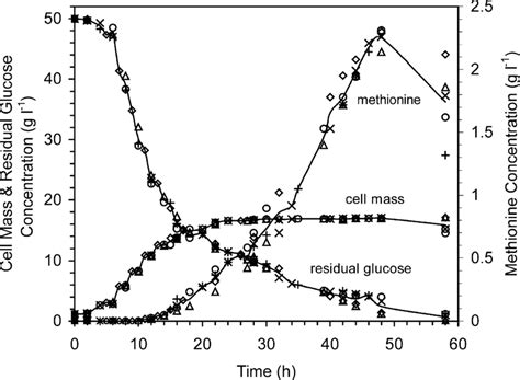 Methionine Production Growth And Glucose Utilisation By C Lilium