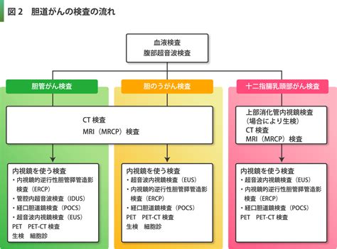 胆道がん 国立がん研究センター 東病院