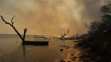 Advierten Que El Fuego Arrasó 300 Mil Hectáreas El Tigre De Papel