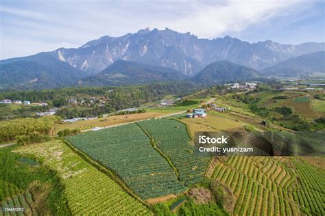 Aerial View Of Kundasang Sabah Landscape With Cabbage Farm And Mount Kinabalu At Far Background