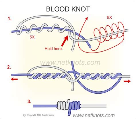 Blood Knot - How to tie a Blood Knot | Fishing Knots