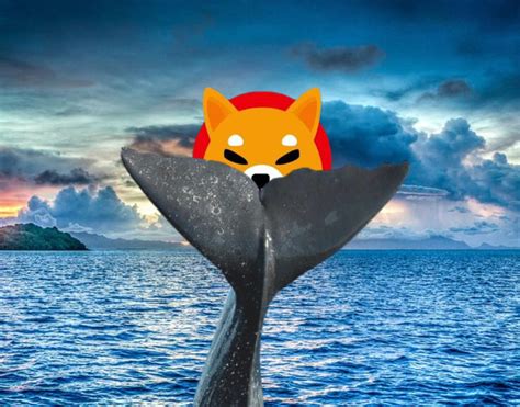 Shiba Inu Whale Buys 500 Billion Tokens Worth 10 Million Today During