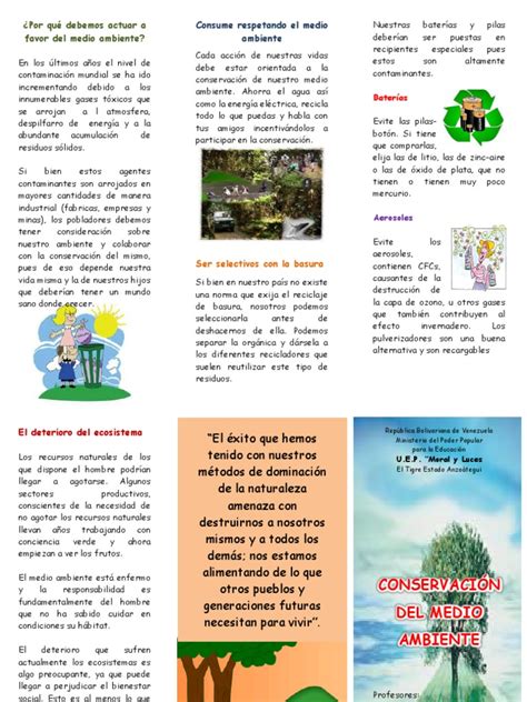 Triptico Conservacion Del Medio Ambiente