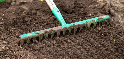 Comment préparer votre terrain pour semer votre gazon Jardinet