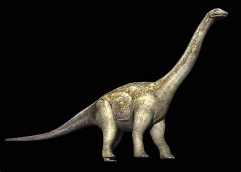 Sauropoda | Prehistoric Earth: A Natural History Wiki | Fandom