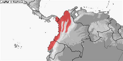 Distribution Of Lachesis Acrochorda Repfocus