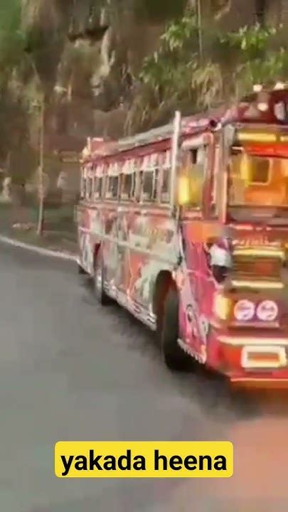 මායා කිරිල්ලී ️‍🔥 Viral Bus Status Sri Lanka Youtube