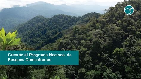 Bosques Comunitarios Crear N Programa Nacional