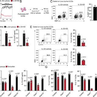 Pulmonary Ilc Effector Function Is Dependent On Orai And Orai A