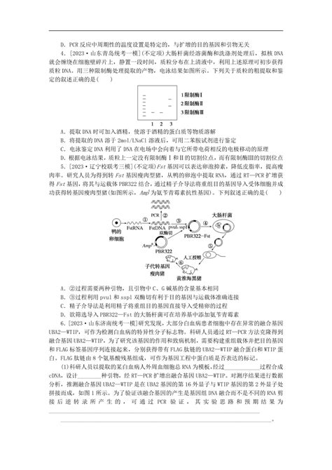 新教材2024高考生物二轮专题复习整合训练17基因工程和生物技术的安全性与伦理问题（含解析）21世纪教育网 二一教育