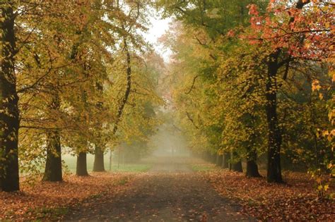 I Luoghi Pi Spettacolari Dove Ammirare Il Foliage In Lombardia