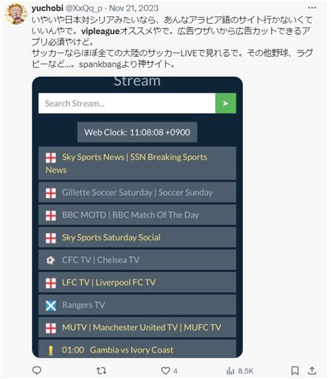 VIPLeague VIPBOX が見れない 代わりは 評判と安全性を実際に検証 スポーツプレミア