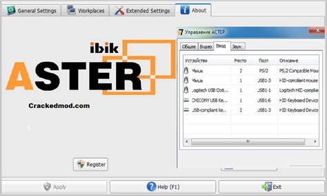 Ibik aster review - kaserbranding