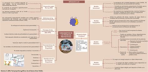 Fundamentos De Las T Cnicas Proyectivas Organizador Visual Elizabeth