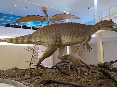 Museu de Paleontologia Plácido Cidade Nuvens recebe nova Exposição de