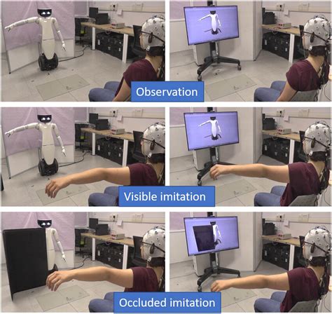 The Experimental Scenarios During Observation Visible Imitation And