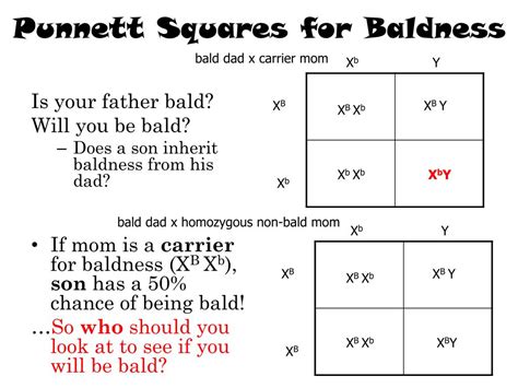 Ppt More Complex Inheritance Patterns Sex Linked Traits Powerpoint