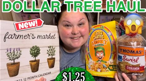 Dollar Tree Haul New Items Youtube