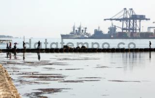 Reklamasi Pantai Di Kawasan Losari Makassar DATATEMPO