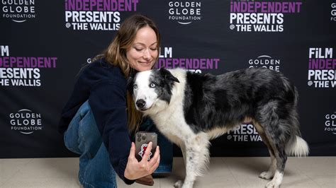 Pourquoi Messi Le Chien Star D Anatomie D Une Chute Fait Pol Mique