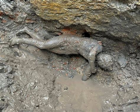 Italy Hails Exceptional Discovery Of Ancient Bronze Statues In