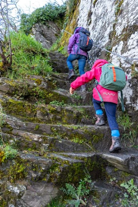 Moselsteig mit Kindern 6 einfache Etappen für Familien