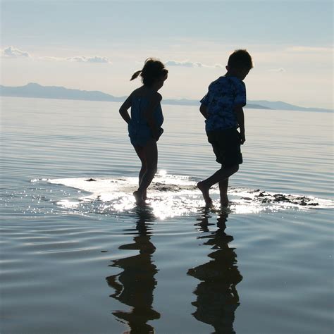 Reflections Of People In Water