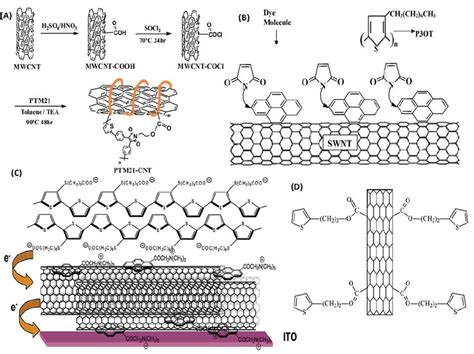 Various Cnt Functionalization Approaches To Improve Incorporation Of Download Scientific